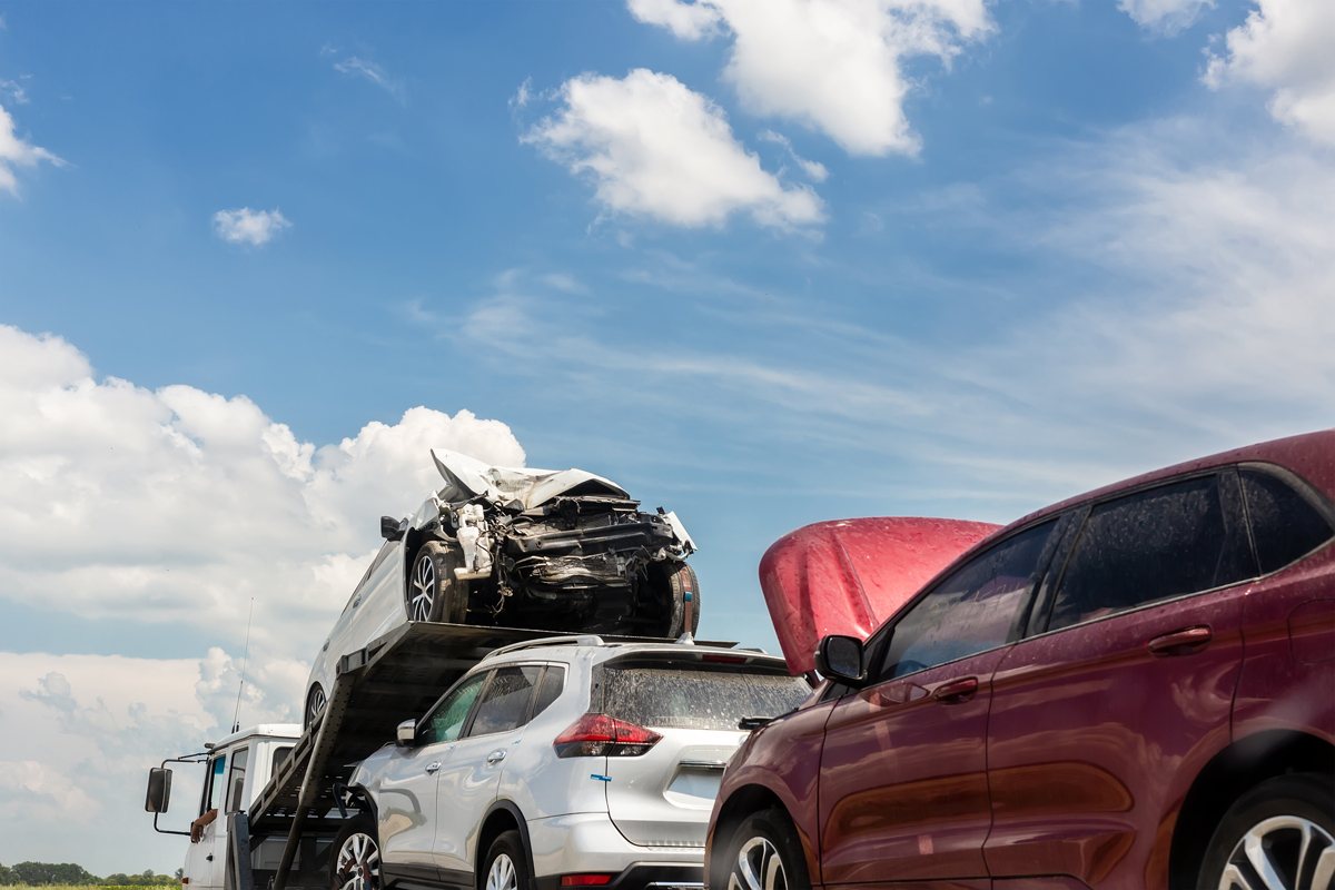 salvage vehicles transported after auction