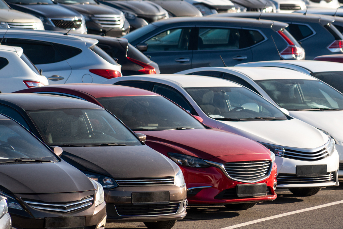 Essential information you need to know about auto transport for rental car fleets.